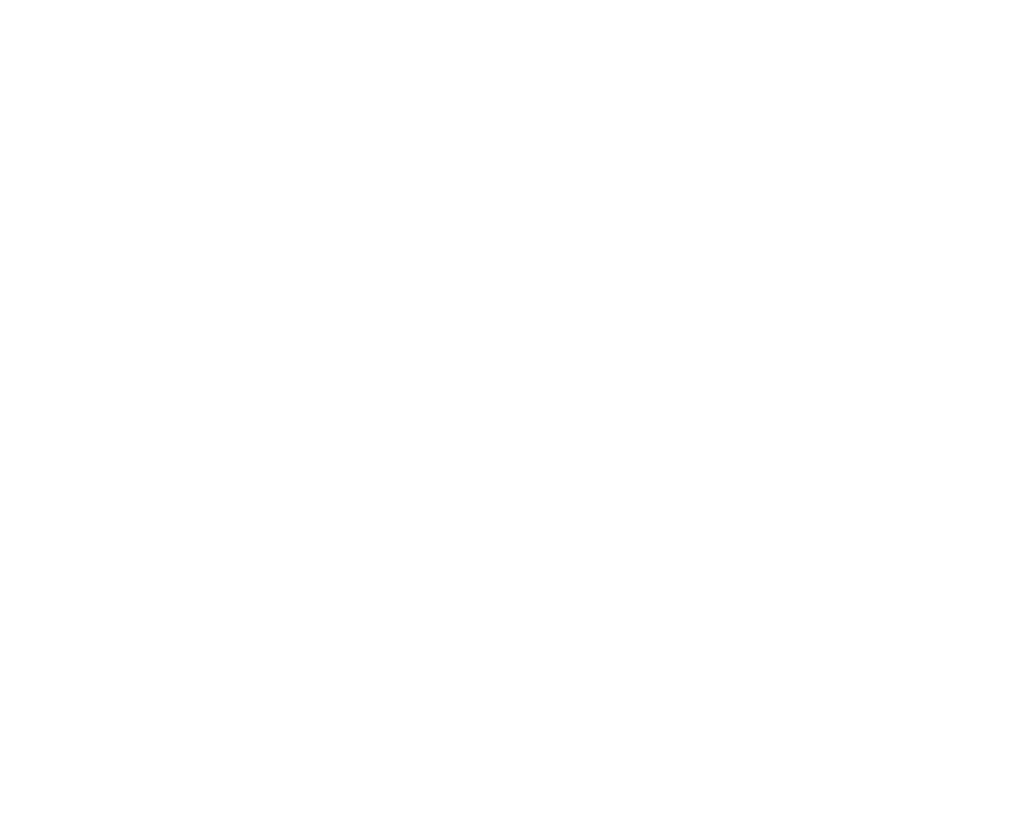 Ilaky logo